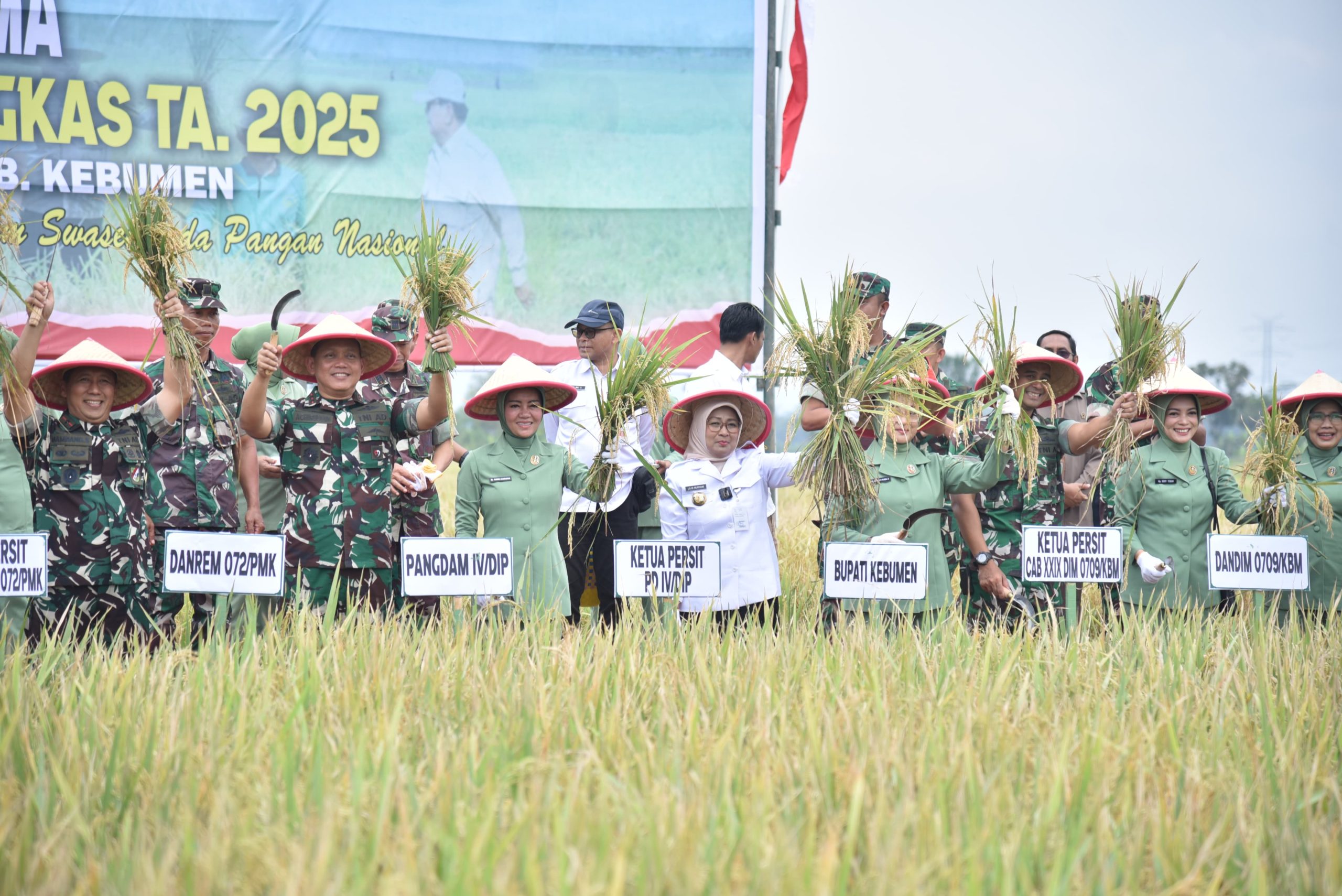 Pangdam IV/Diponegoro Pimpin Panen Raya di Kebumen
